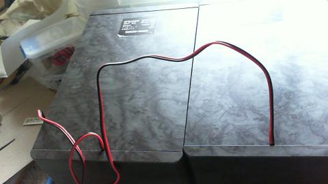 細い豚のしっぽ