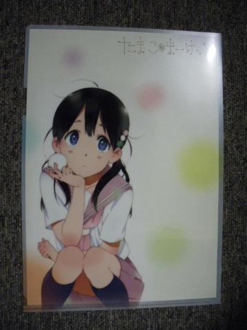 クリアファイル 表