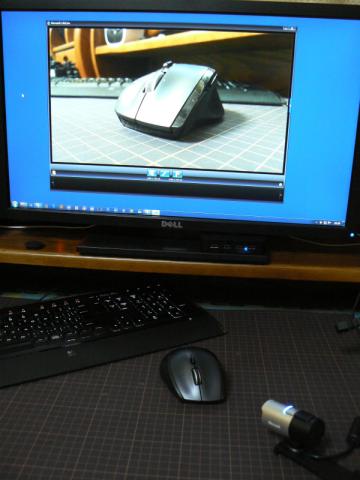 マウス撮影会(?)