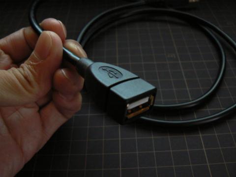 Type-A Receptacle (ピントがずれてる その3)