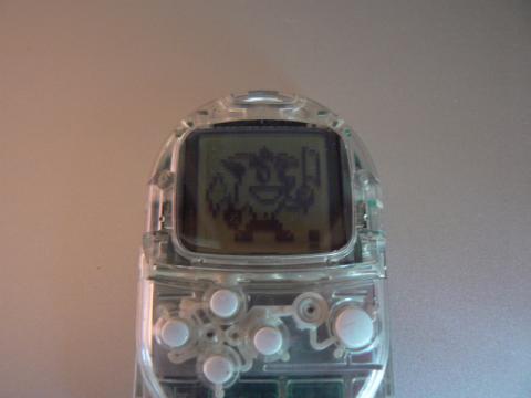 クラッシュくんだ!