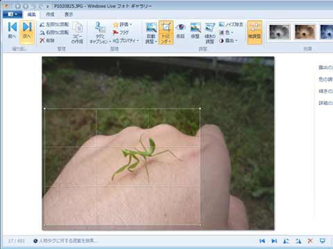 画像をトリミング