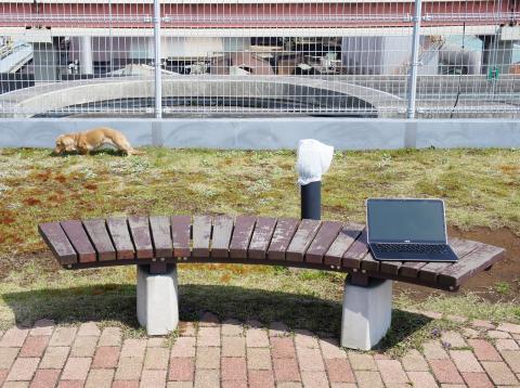 屋上でドックラン