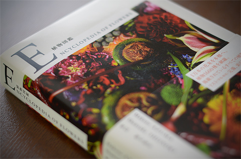 写真集というより作品集