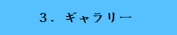 ギャラリー.png
