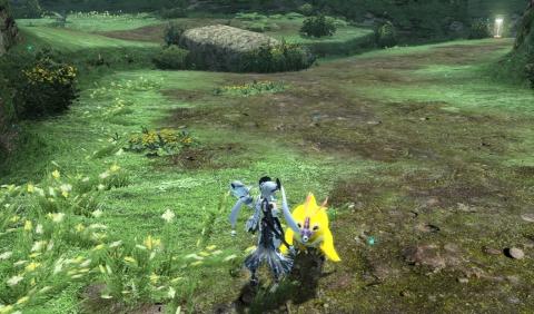 かわいいもんすたー