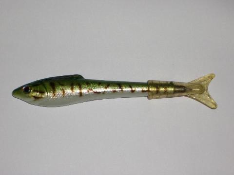 フイッシュペン(全景)