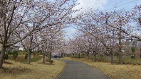f/9.3 1/190 ISO-100 35mm換算焦点レンズ焦点距離 30.0mm 自動