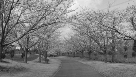 白黒 f/9.3 1/320 ISO-165 35mm換算焦点レンズ焦点距離 30.0mm