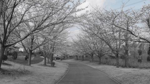 色分解(青色) f/9.3 1/320 ISO-171 35mm換算焦点レンズ焦点距離 30.0mm