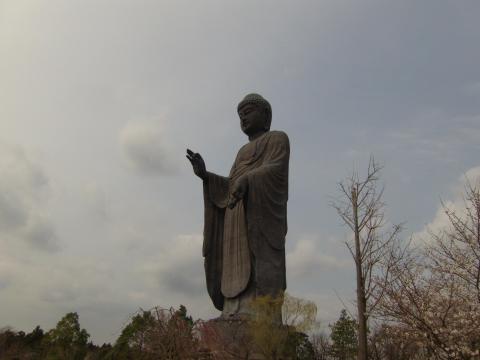 レンズ焦点距離5.0mm f/9.3 1/500 ISO-107 35mm換算焦点レンズ焦点距離 28.0mm