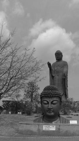 f/9.3 1/320 ISO-100 35mm換算焦点レンズ焦点距離 30.0mm(PSで回転のみかけました)