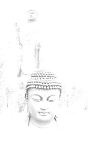 他の写真もこんな感じに白い