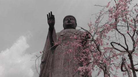 f/9.3 1/320 ISO-100 35mm換算焦点レンズ焦点距離 30.0mm