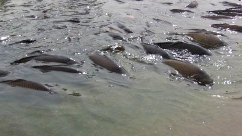 シーンモード:ビーチ f/11.0 1/250 ISO-182 35mm換算焦点レンズ焦点距離 50.0mm