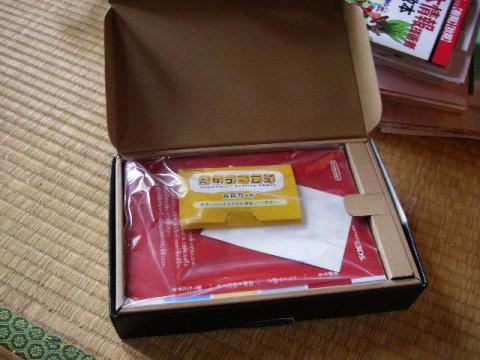3ds-box opened.JPG