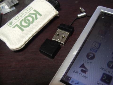 大きさはこのくらいです。