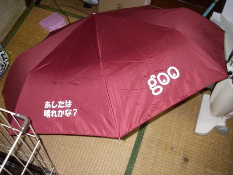 開いたところ。