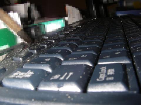 縦方向が円筒形の輪郭を形成しています。