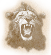 img.php?filename=mi_116185_1408803814_74