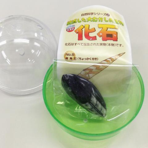 ん? カラスガイっぽい?