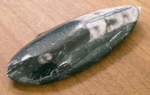 手前の丸い部分は目かな?