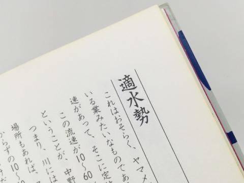 キーワードは「適水勢」「集餌点」「フトコロ」!