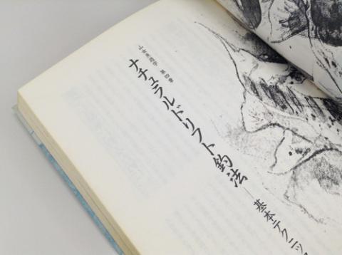 現在はゼロ釣法が主流らしいですね。。。