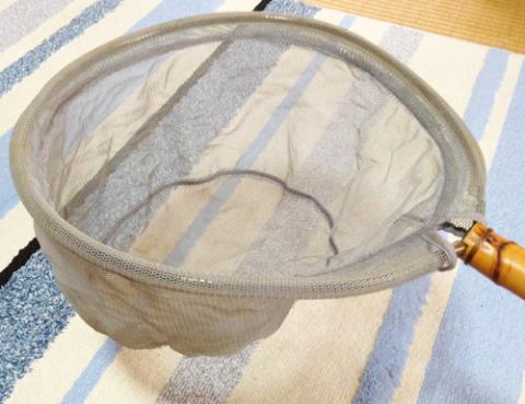 裏と表の区別はなく、どちらでも使えます。