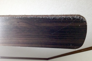 掃除前(夏前に掃除)、かなりばっちい...