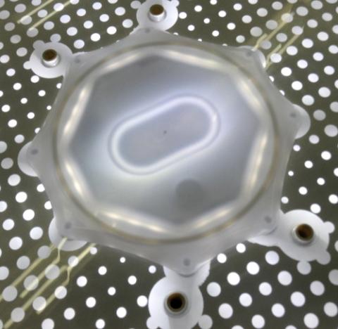 ドット印刷で光りのムラを制御しているようです。