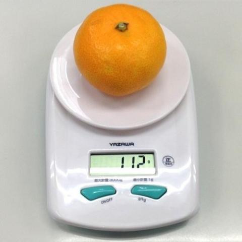 艶ピカだとハイライトが入って写真に撮り辛い。