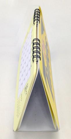 横から見たところ