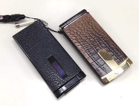 どことなく似てますが。。。