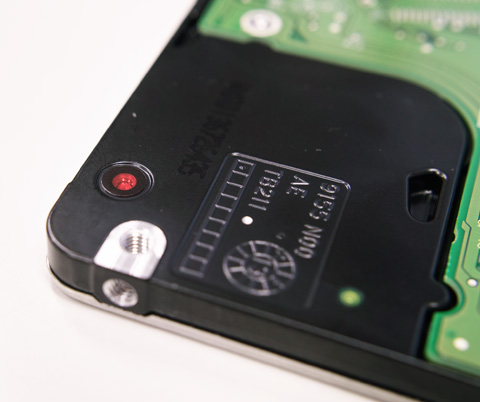 この赤い部分はなんだろう?ちょっと奇麗だなぁと思ってw