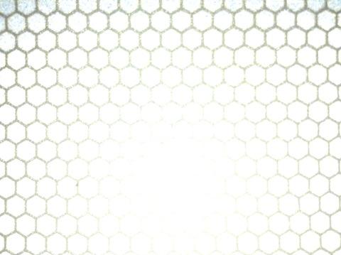 正面から光を当てたら、、、眩しい!w