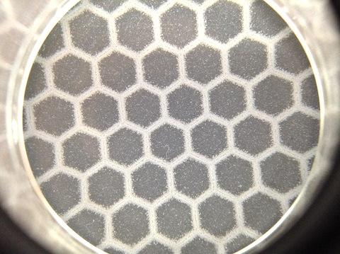 ルーペで拡大してみましたが、意外とボソボソな感じです。