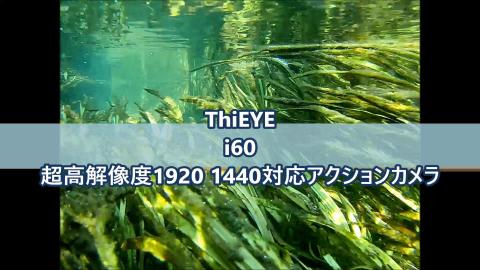 なんて美しい映像....