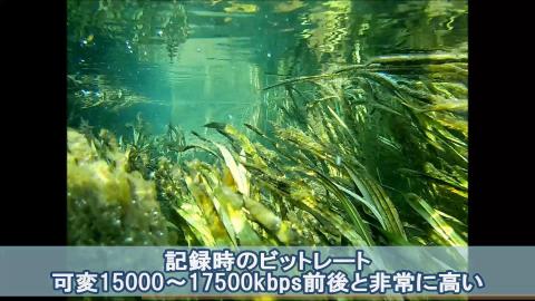 高ビットレートなのでメモリ食いまくりww