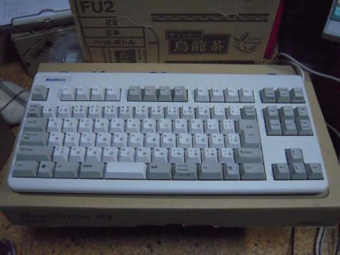 Realforce 91 (NE0100)