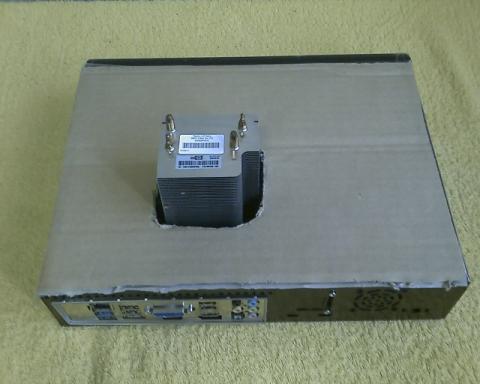 気休めのダンボール装備 背面