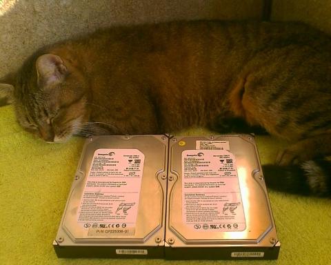 レフ板の代わりをHDで代用?