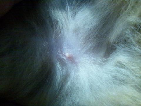 何とか発掘できたぞ!ココだ!