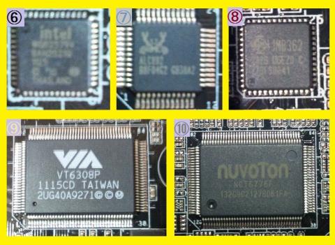 よく見掛けるCHIP達!お世話になっております。