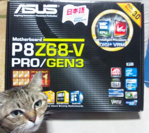 安物のM/Bとは違う面構えに猫もウットリ!^^