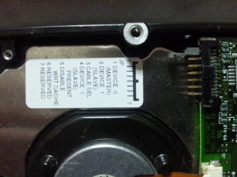 JUMPERがこんなトコロに!