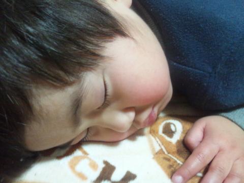 ちびっ子怪獣達は早々に就寝!