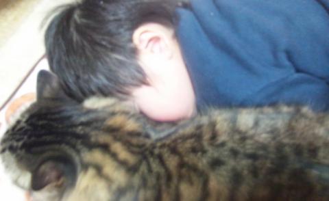 更に!獣も一緒に就寝!