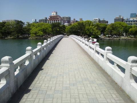 池の中央部に逃げ込んでみた!