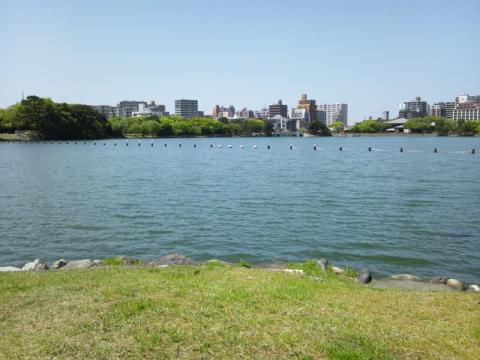 福岡市民なら誰もが知る大濠公園に逃げ込んでみた。